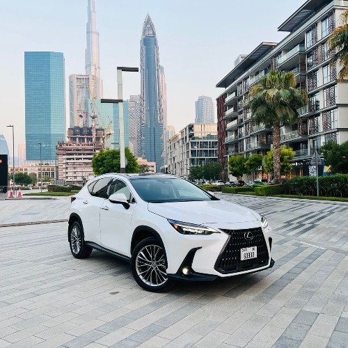 Lexus NX - 2022